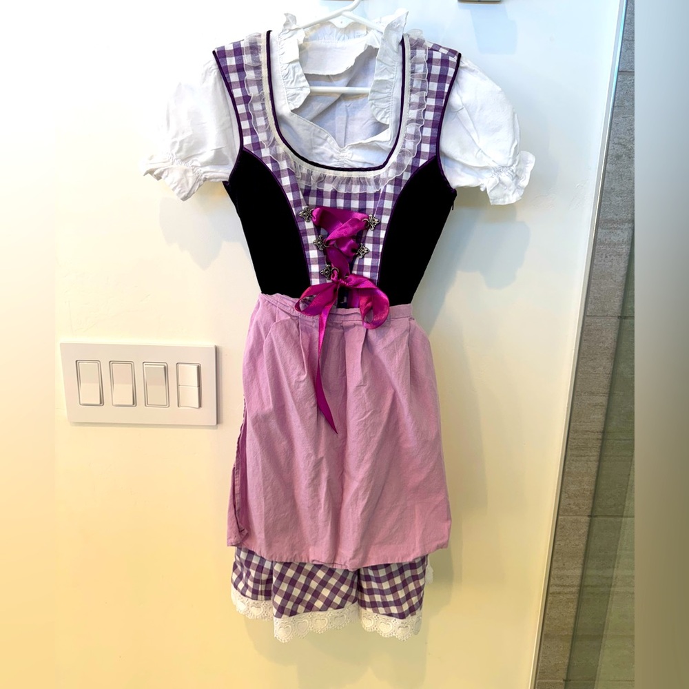 Dirndl - little girls cute Oktoberfest dirndl. Worn once.